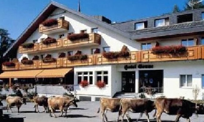 Wildhaus Apartamento | Apartamento de vacaciones Wildhaus para 4 - 6 personas con 2 dormitorios - Apartamento