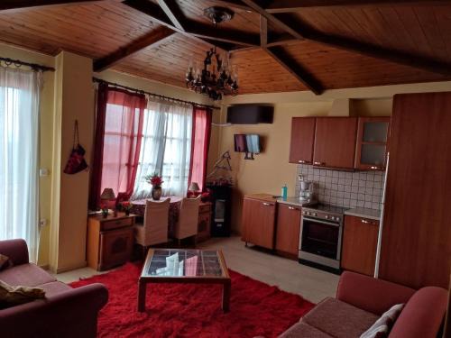 Arachova Apartamento | Holiday Apartments in Arachova