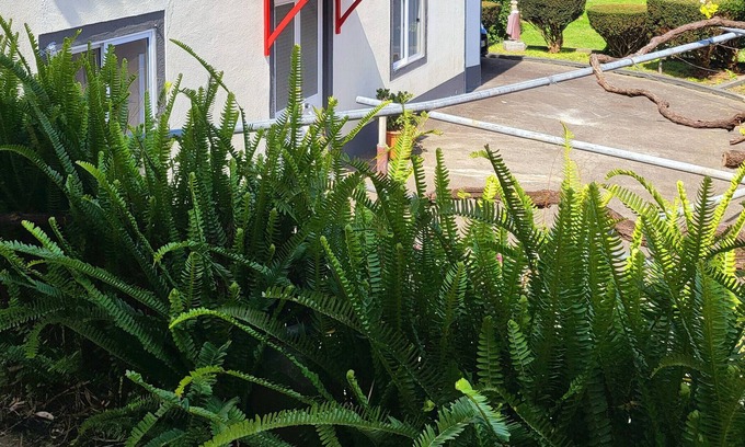 Horta Casa | Casa de vacaciones 'Anjos' con vistas al mar, terraza compartida y Wi-Fi