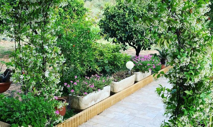 Domus de Maria Casa | Casa de vacaciones 'Appartamento in Villa Gelsomino' con vistas a la montaña, jardín, A/C y Wi-Fi