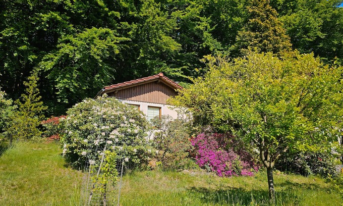 Steina Casa | Holiday Home by the Forest with South-Facing View