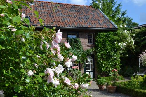 Beutenaken Casa | Holiday home Elena