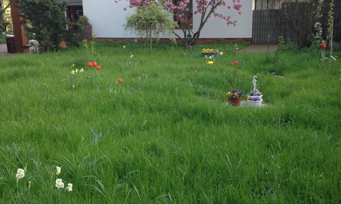 Kolkwitz Casa | Casa de vacaciones en Vorspreewald con su propia apicultura 6 camas