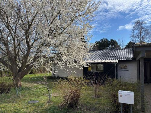 Stege Casa | Holiday Home Near Water, Forest, And Møn's Cliffs