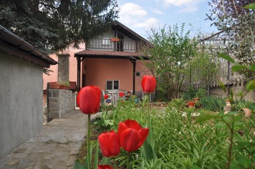 Dalgopo Casa | Holiday Home Vilata