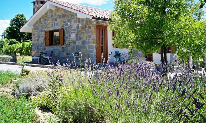 Koper Casa | Casa de vacaciones Ida Tipical Istria casa de piedra