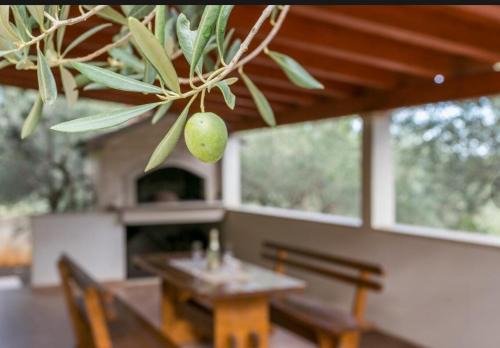 Mirce Casa | HOLIDAY HOUSE Ose