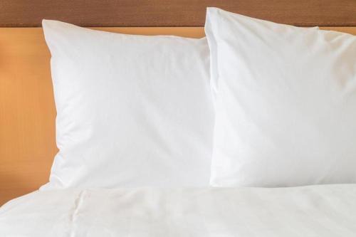 Moncton Hotel | Holiday Inn Express & Suites Moncton by IHG