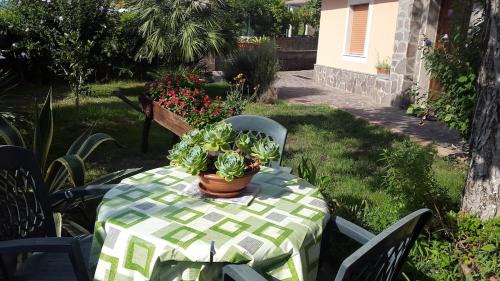Castelnuovo Cilento Apartamento | Holidays in Cilento