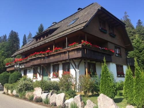 Hinterzarten Cama Y Desayuno | Hollhouse - Bed & Breakfast