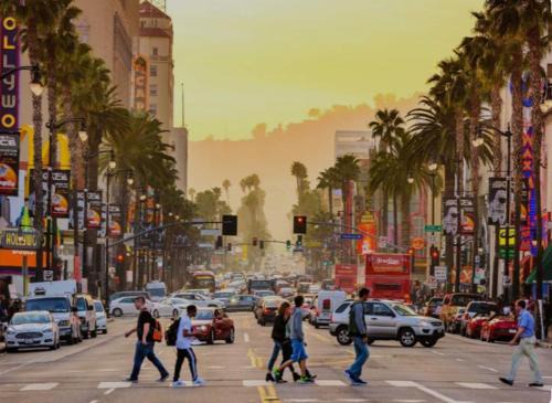 Hollywood Apartamento | Hollywood Lofts Apt Haven at Arrive with FREE PARKING