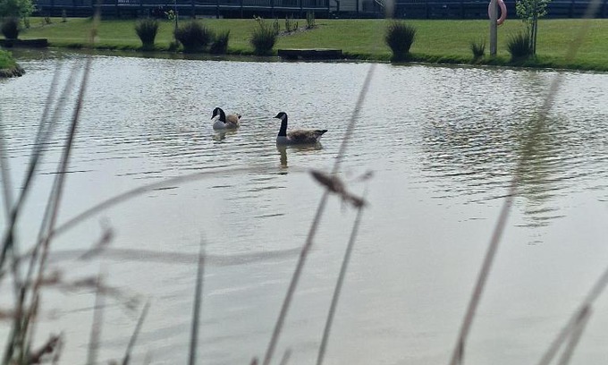 Skegness Cabina | Home Farm Park - Static Caravans