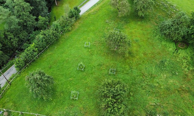 Rothenthurm Otro | Homecamping Rothenthurm