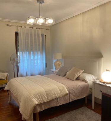 Zumarraga Apartamento | HomeOffice with Church Views