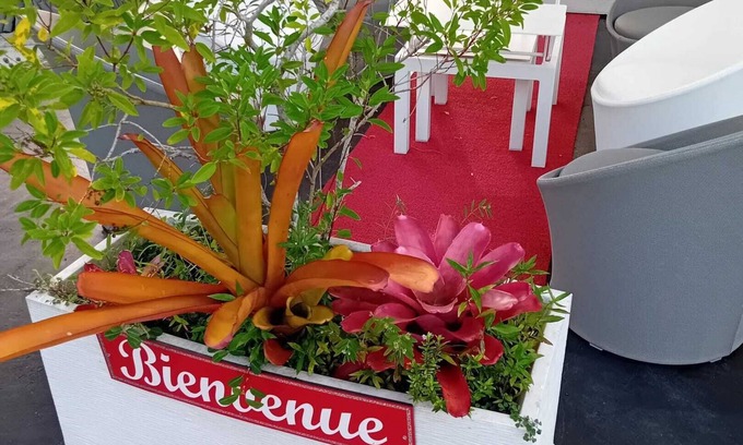 Morne Rouge Casa | Homerez - Bungalow en Sainte-Rose
