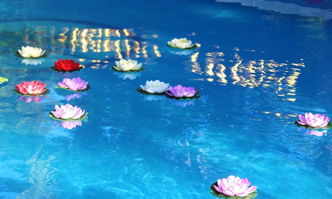 Los Arenales del Sol Apartamento | Homerez - Comfortable Apartment in Elche