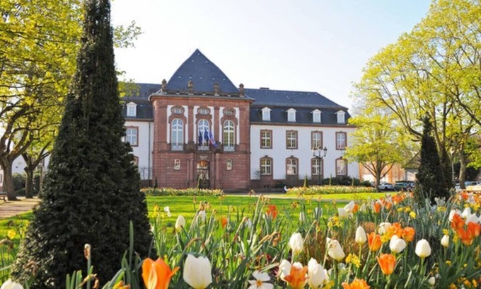Haguenau Apartamento | Homerez - Nice apartement for 2 ppl. with terrace at Haguenau