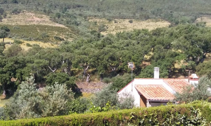 La Acena de la Borrega Apartamento | Homerez - Estudio en Valencia de Alcántara