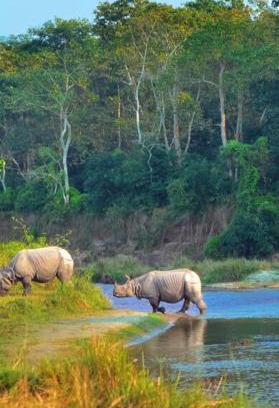 Namarjung Casa | Homestay and Trip Organiser