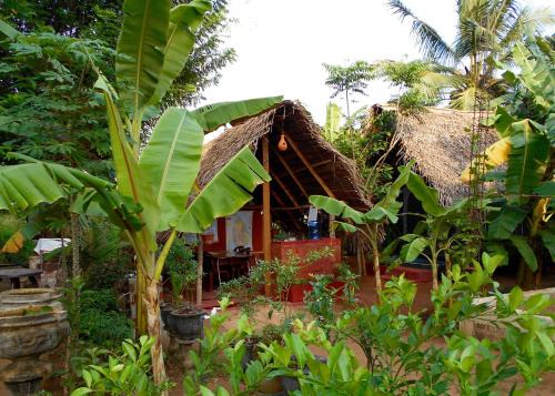 Anuradhapura Otro | HOMESTAY CAMPING ANURADHAPURA