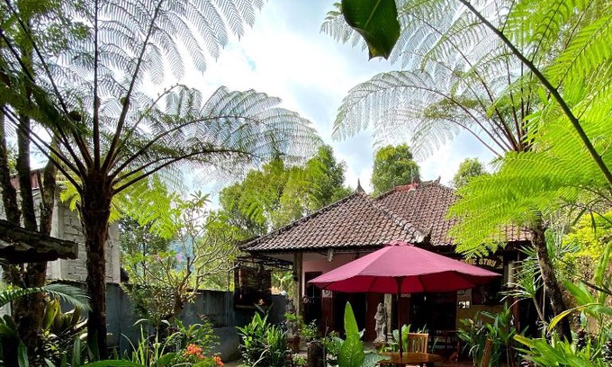 Munduk Casa | Homestay Sente