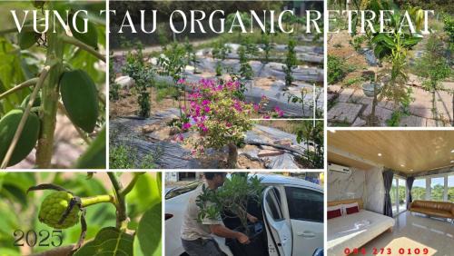 Phu My Apartamento | Homestay Trảng Cát - Hắc Dịch -Phú Mỹ