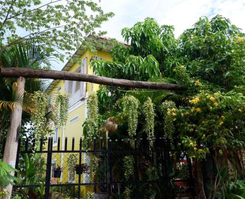 Siem Reap Casa | Homestay Yellow Natural House
