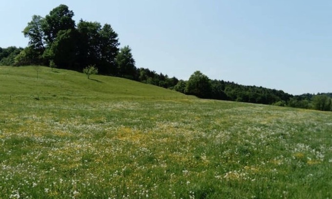 Sankt Marein bei Graz Otro | Horse farm in Eastern Styria