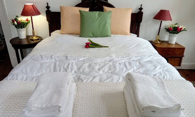 Carvalhal Benfeito Otro | Horses, Breakfast and Bed Welcome you in Portugal