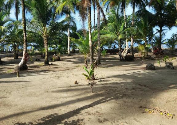 Bahia Solano Casa | HOSPEDAJE DOÑA NEL