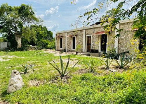 Homun Casa | Hostal Homún Oro Verde