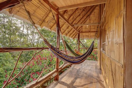 Tena Casa | Hostal Pakay