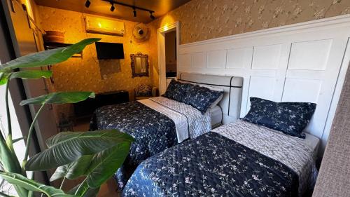 Vila Rica Apartamento | Hotel APART Zuccolotto 1
