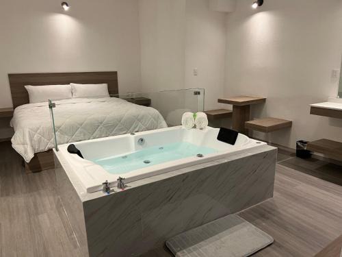 Pachuca Hotel | Hotel Blanco Pachuca