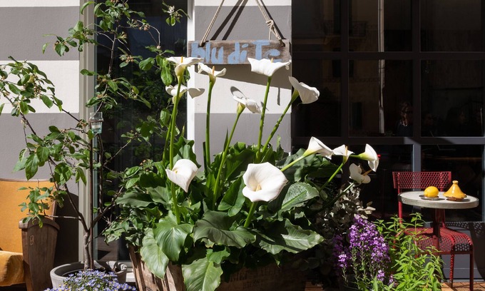 Santa Margherita Ligure Hotel | Hotel Blu di Te
