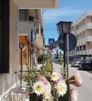 Silvi Marina Hotel | Hotel Blurelda