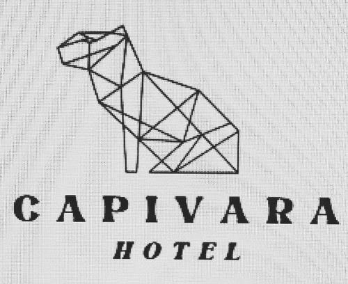 Mucuge Apartamento | Hotel Capivara
