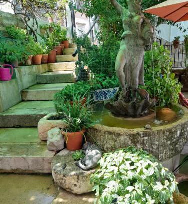 El Bosque Casa | Hotel Casa Paco