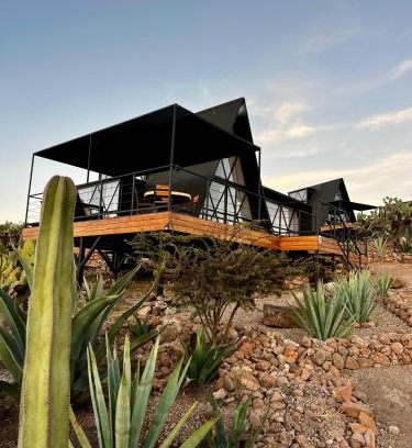 San Miguel de Allende Hotel | Hotel Coyote
