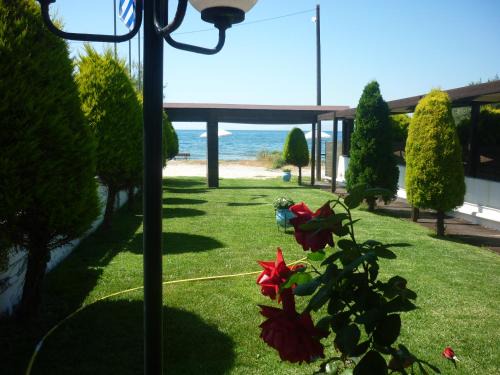 Tsoukalaiika Apartamento | Hotel Dimitra