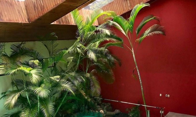 Antigua Guatemala Hotel | Hotel Donde Picho