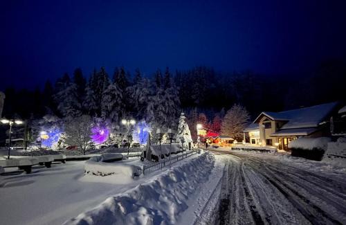 Zella-Mehlis Hotel | Hotel & Gasthaus Sterngrund