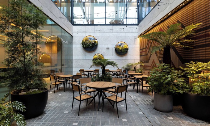 Auckland Central Business District Hotel | Hotel Grand Chancellor Auckland