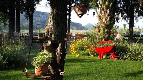 Dalyan City Center Casa | Hotel Happy Caretta