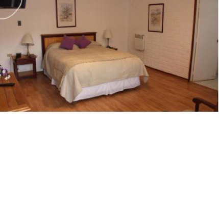 Copiapo Hotel | Hotel Montecatini I