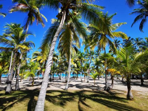 Palomino Hotel | Hotel Playa Mandala