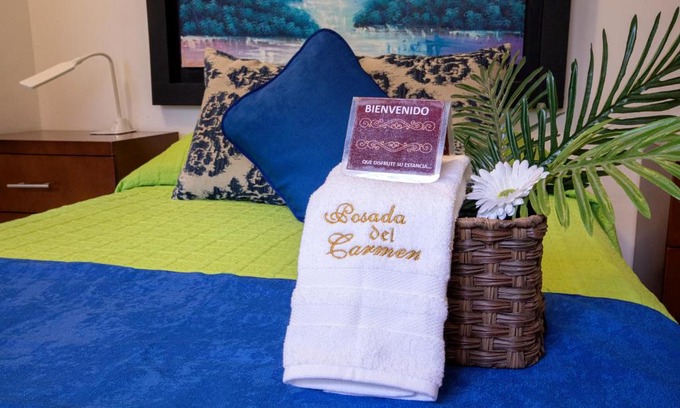 Centro Historico Hotel | Hotel Posada del Carmen