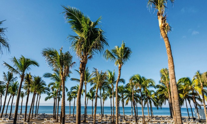 Flamingos Complejo | Hotel Riu Vallarta - All Inclusive