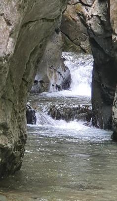 Queralbs Hotel | Hotel Rural L'Ortiga Blanca