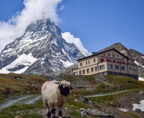 Zermatt Hotel | Hotel Schwarzsee